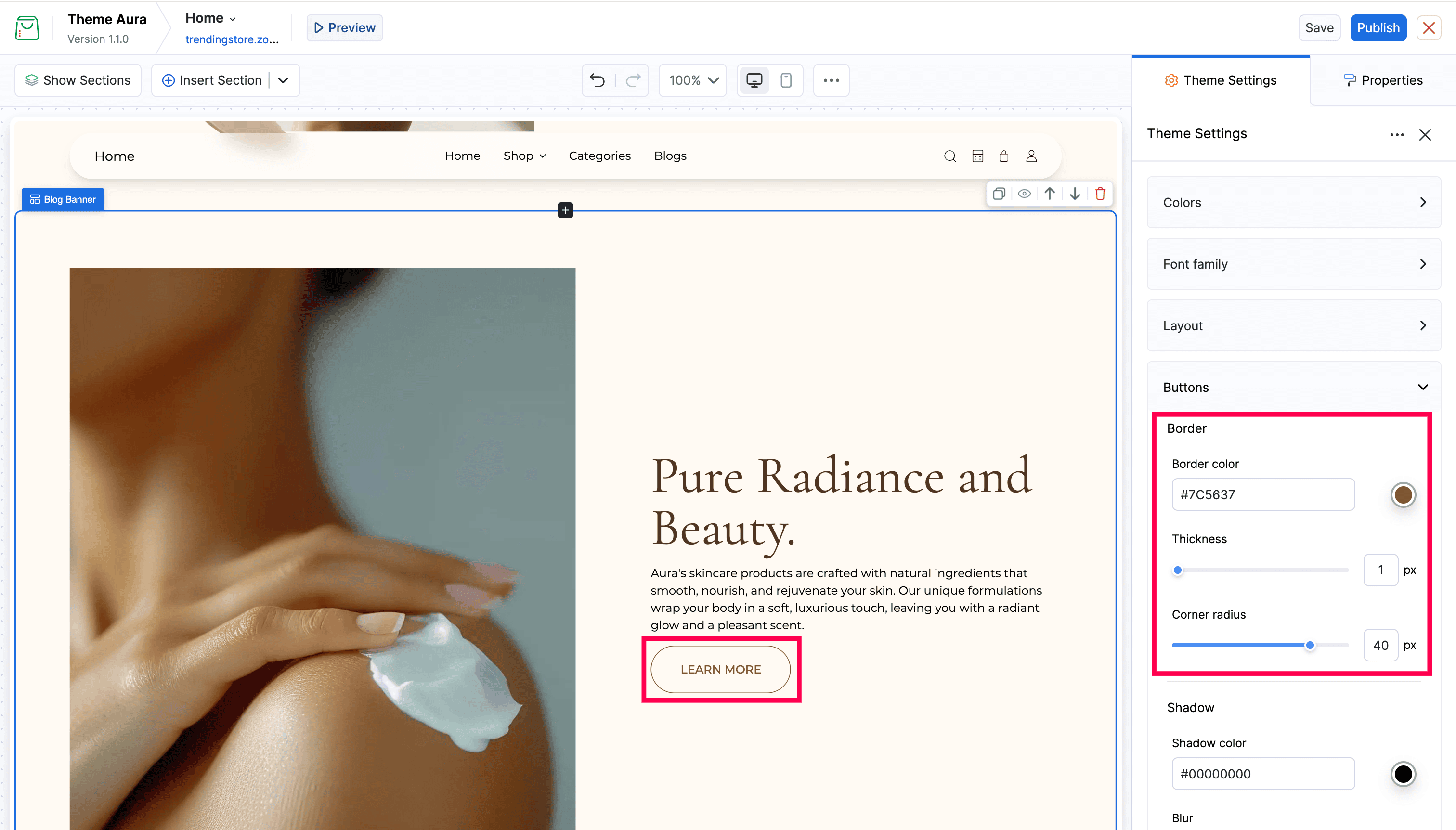 Editing Theme Settings