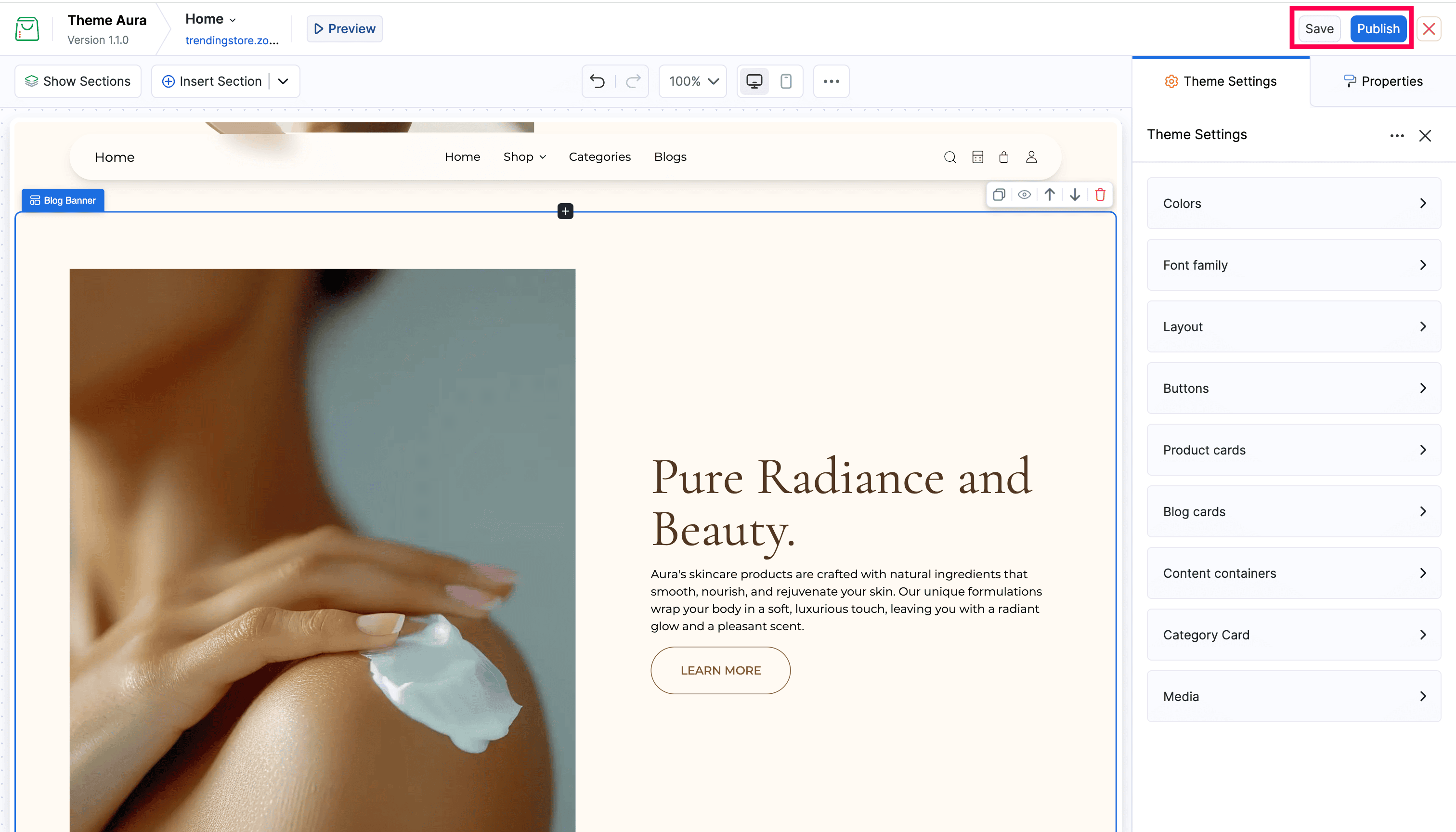 Save and Publish buttons