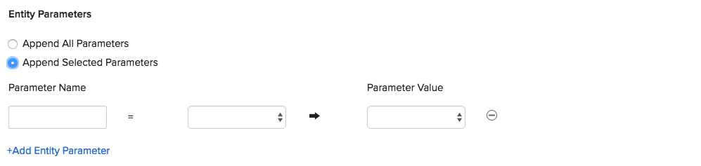 Entity Parameter