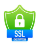 SSL Icon